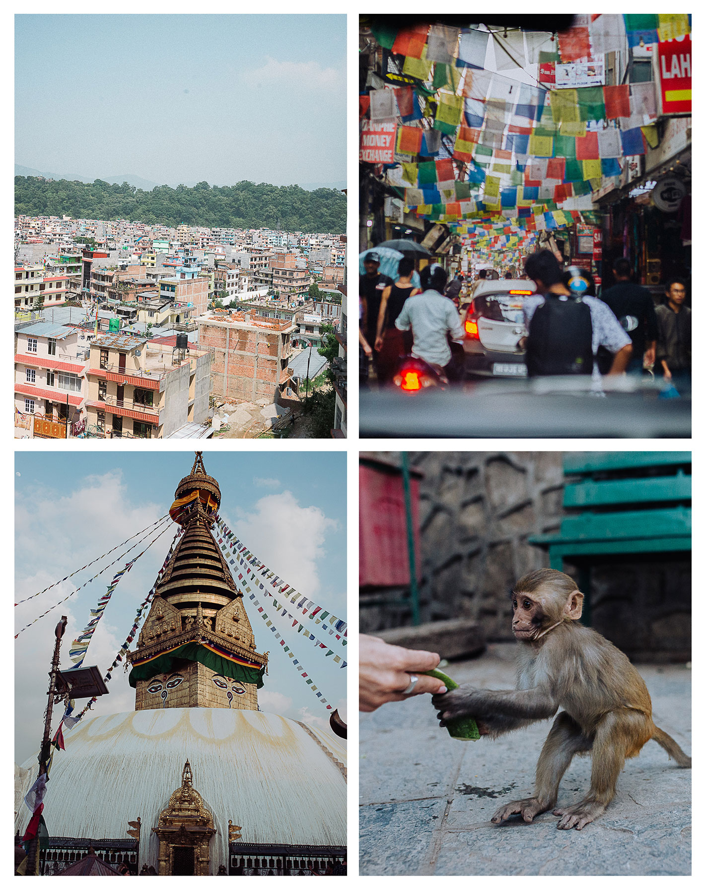 Nepal City
