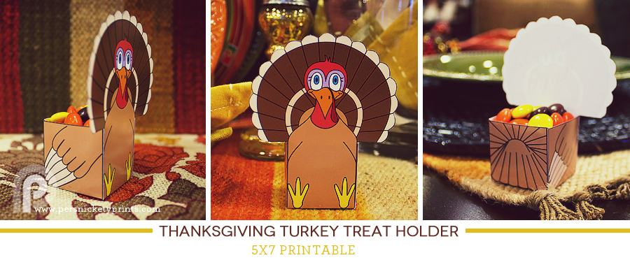 thanksgiving-turkey1