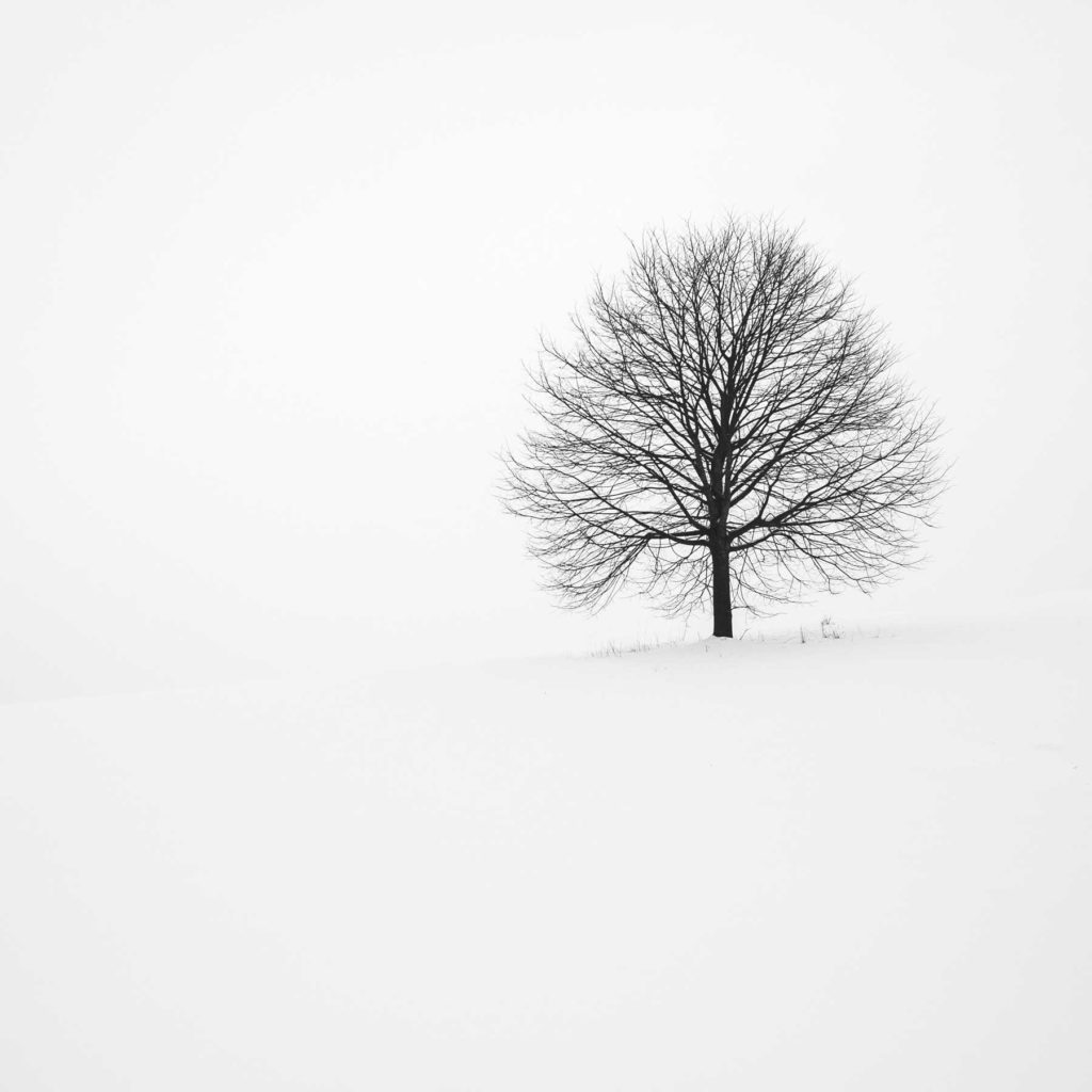5 Winter Photography Tips