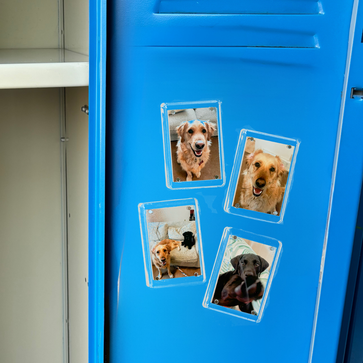 locker decor_photo tiles