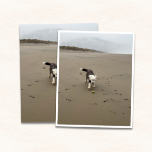Medium Photo Prints