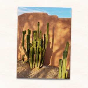 9x12 Custom Photo Print