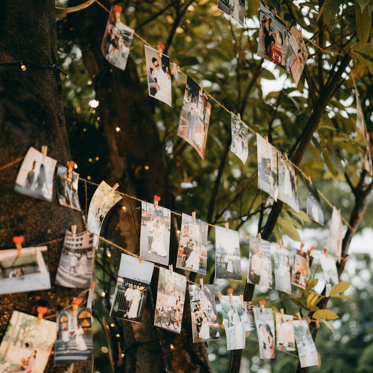 Wedding photos strung on twine with clothespins