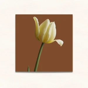 30x30 Square Wall Art Print