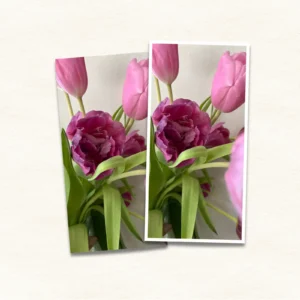 4x8-photo-print