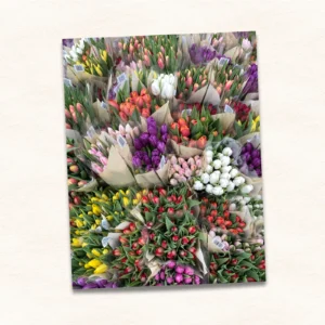 8.5x11-photo-print